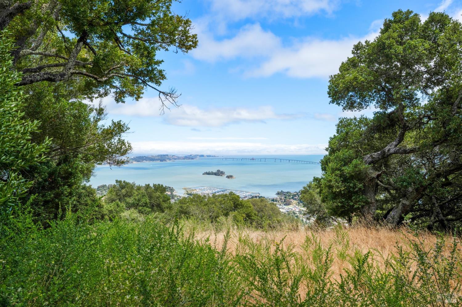 300 Margarita Drive San Rafael CA 94901