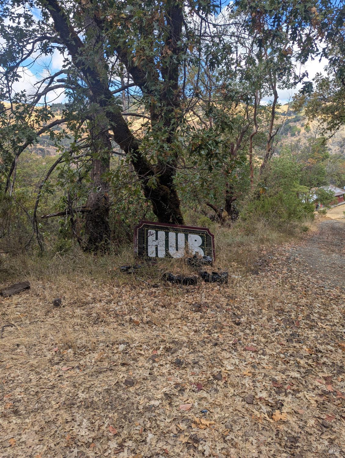 59002 George Washington Rock Road Leggett CA 95585