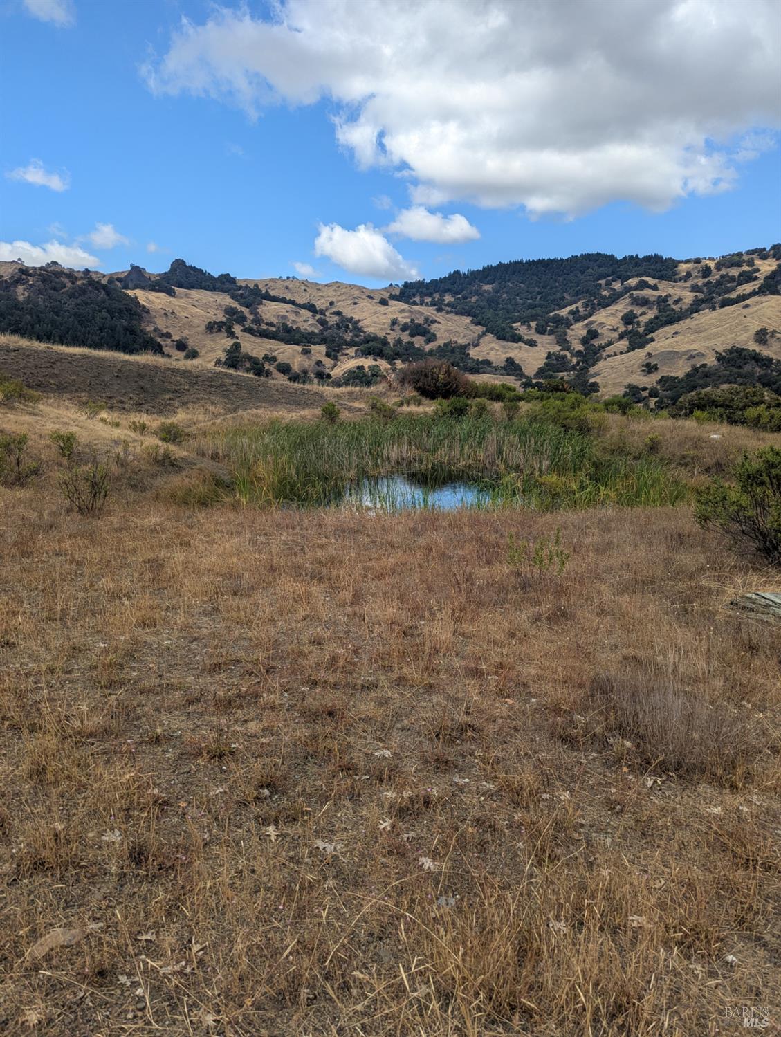 59002 George Washington Rock Road Leggett CA 95585
