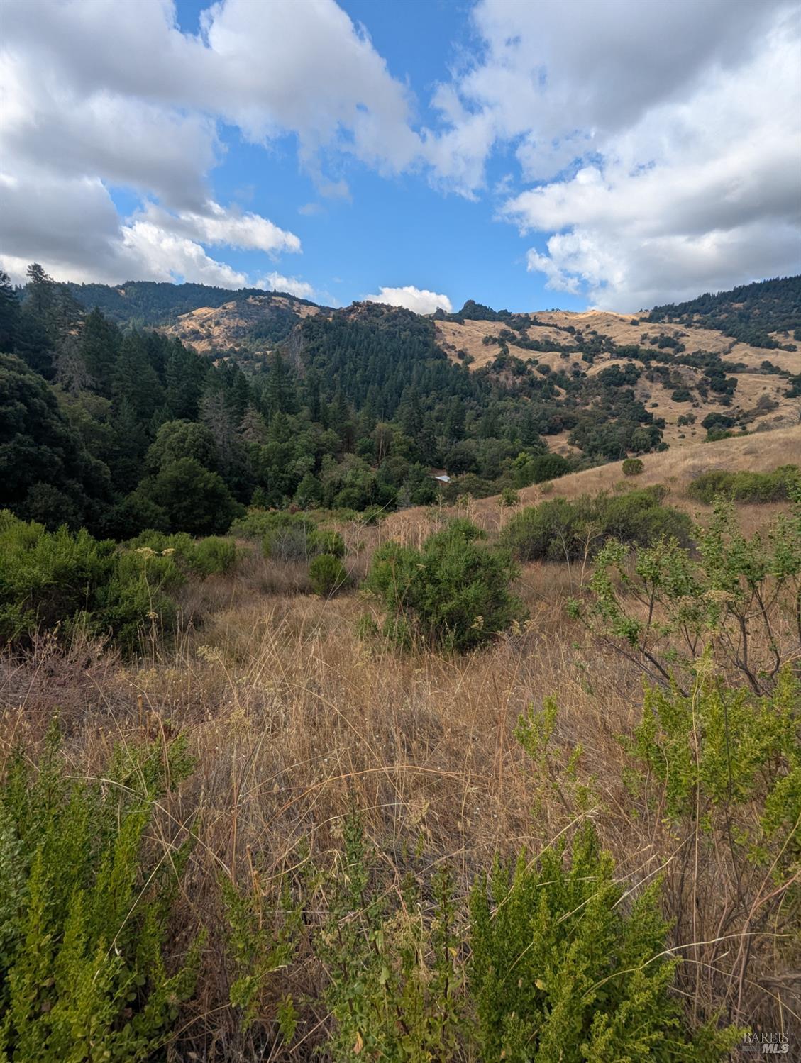 59002 George Washington Rock Road Leggett CA 95585