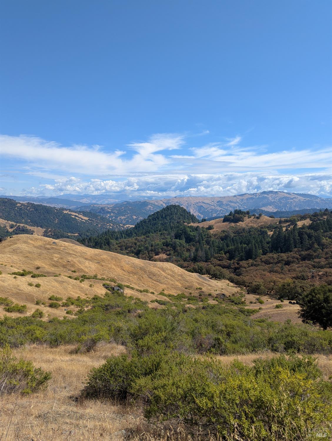 59002 George Washington Rock Road Leggett CA 95585