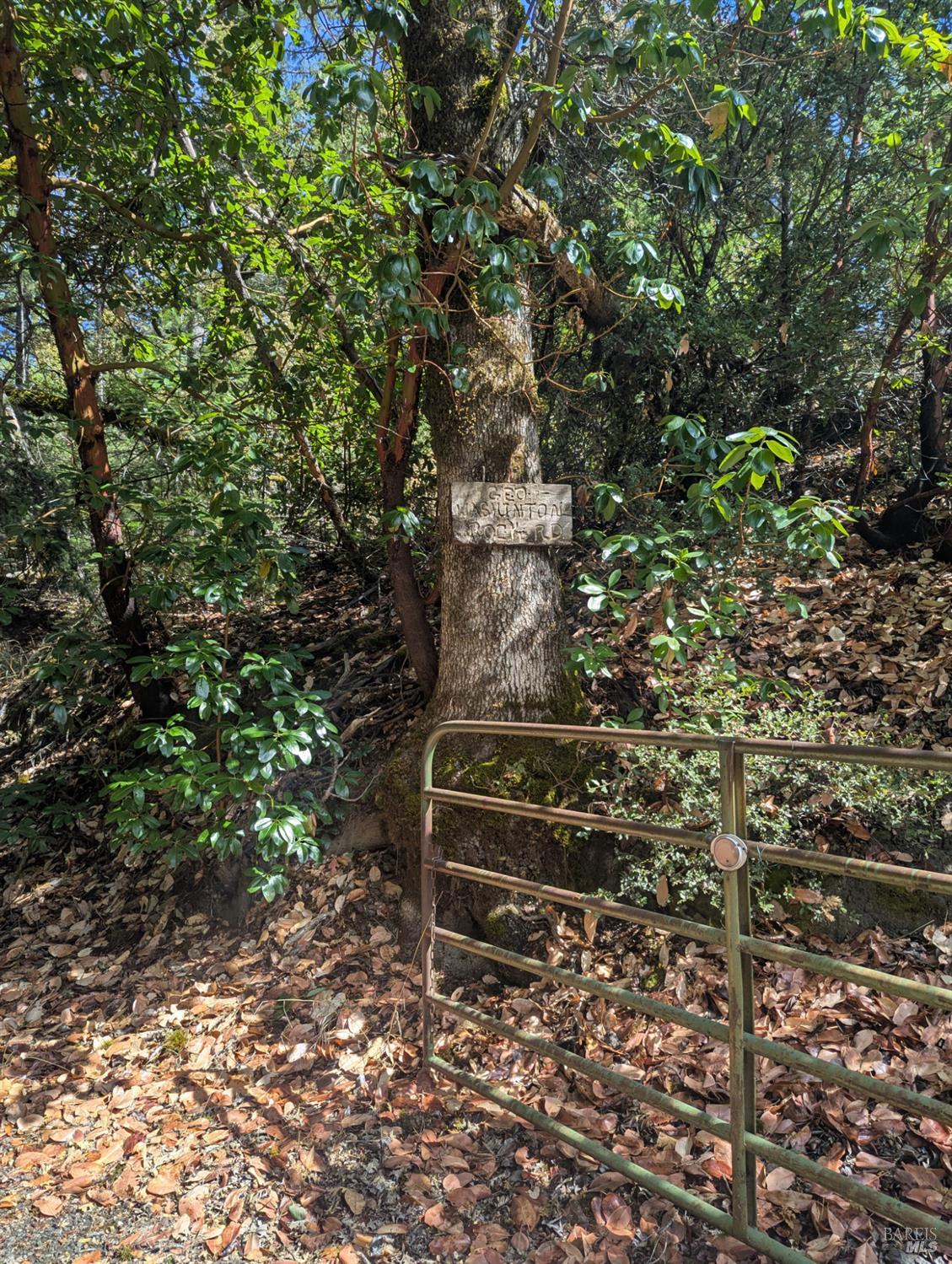59002 George Washington Rock Road Leggett CA 95585