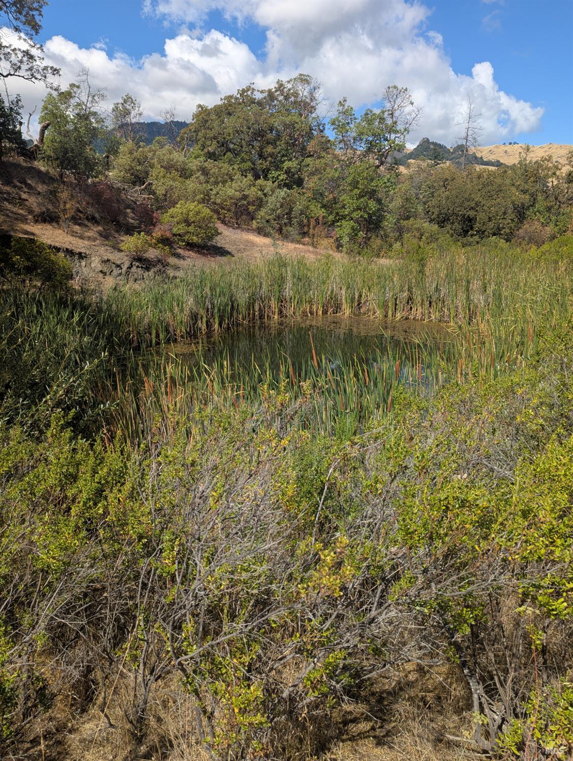 59002 George Washington Rock Road Leggett CA 95585