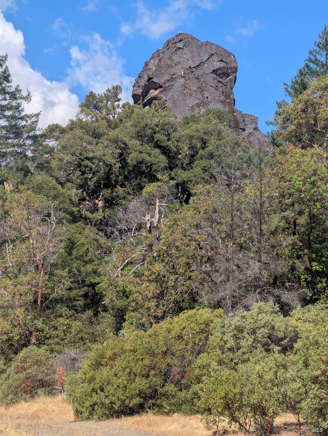 59002 George Washington Rock Road Leggett CA 95585