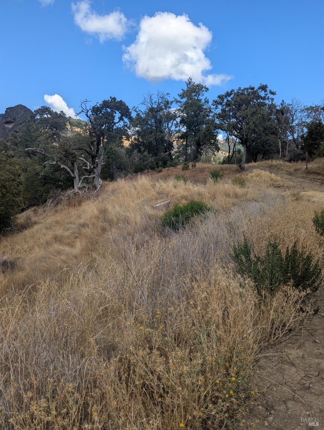 59002 George Washington Rock Road Leggett CA 95585