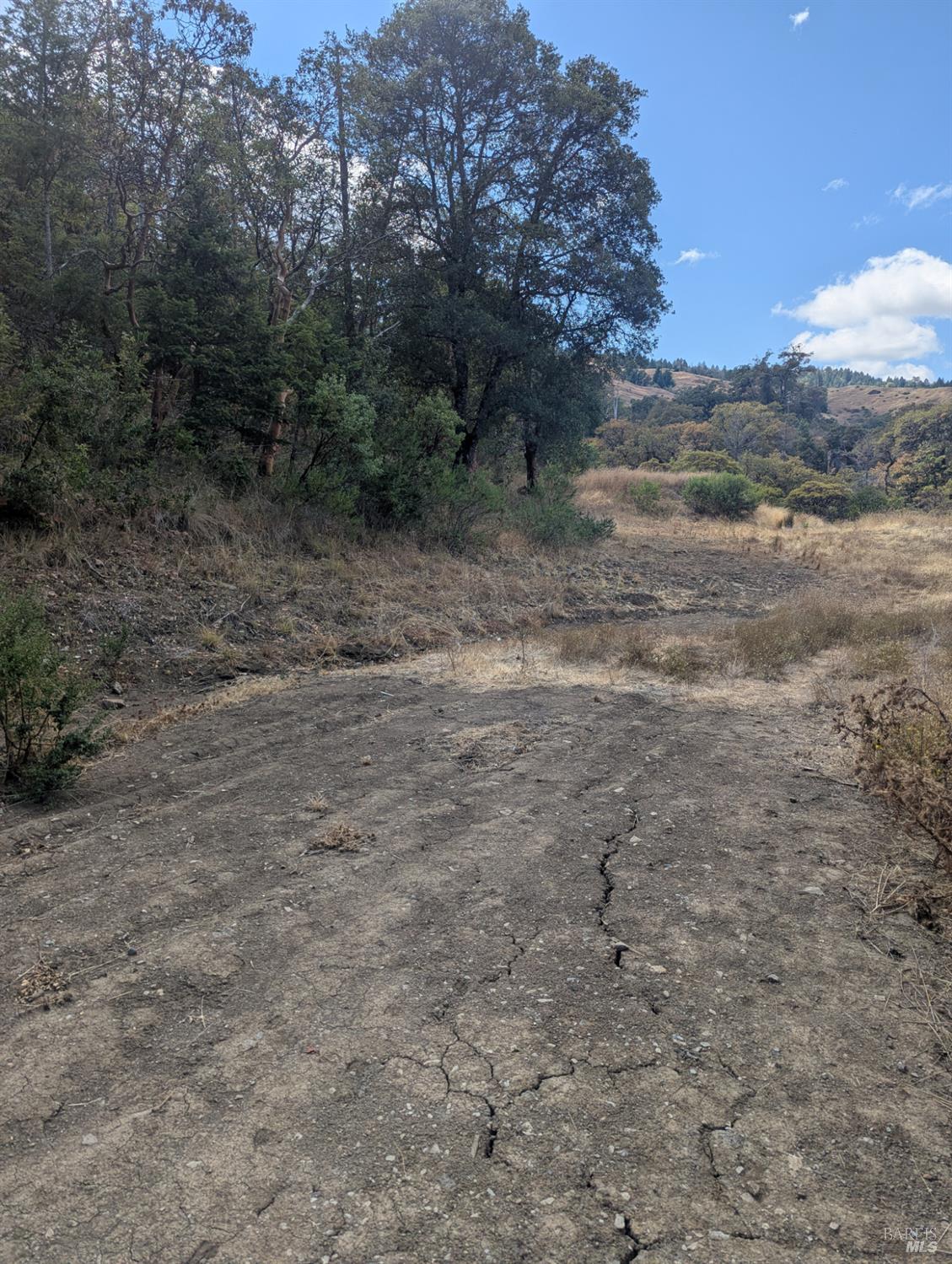 59002 George Washington Rock Road Leggett CA 95585