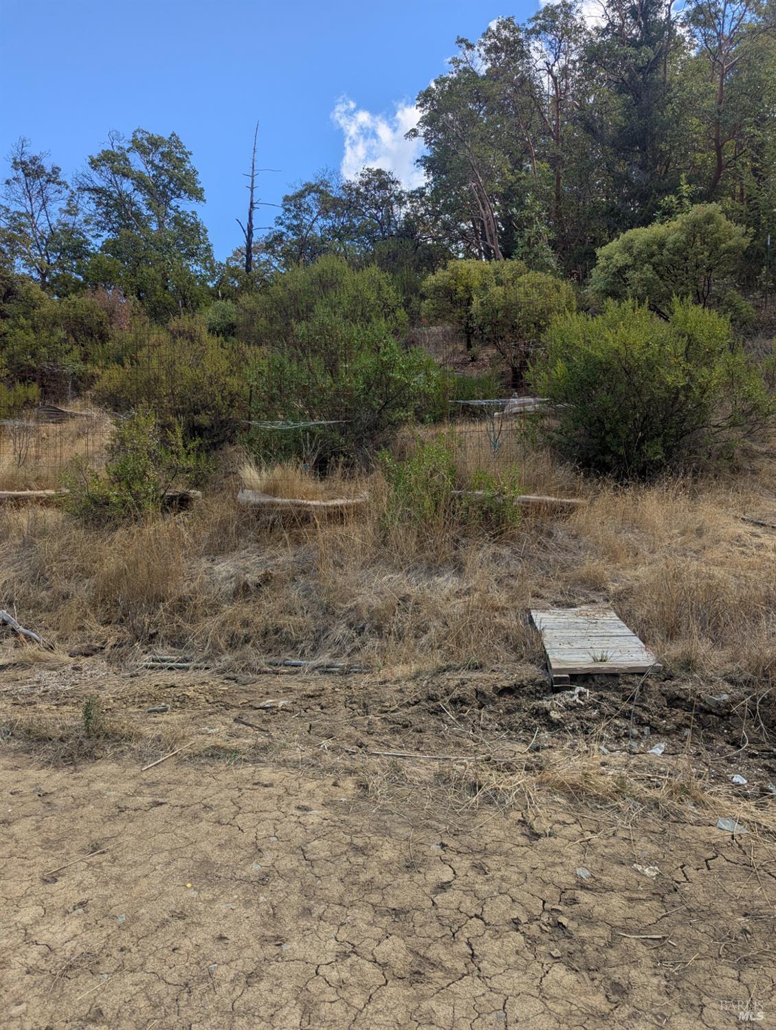 59002 George Washington Rock Road Leggett CA 95585