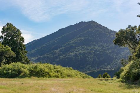 128 Ridgecrest Road Kentfield CA 94904