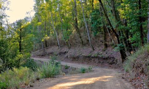 128 Ridgecrest Road Kentfield CA 94904