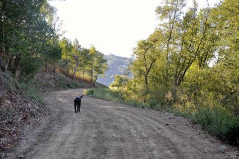 128 Ridgecrest Road Kentfield CA 94904