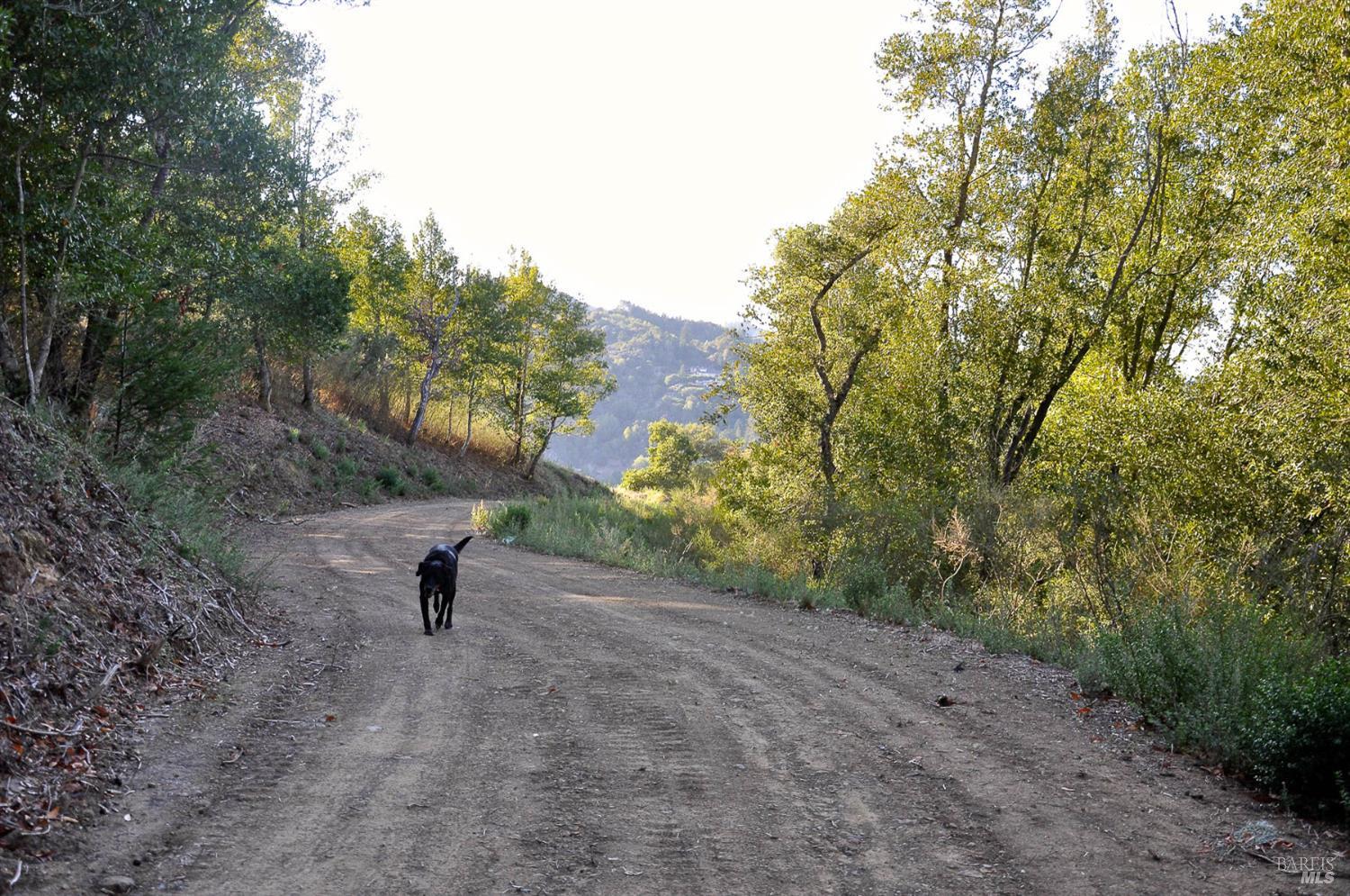 128 Ridgecrest Road Kentfield CA 94904