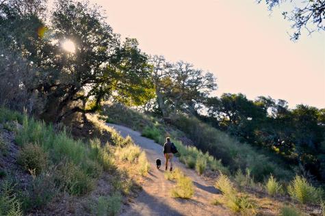 128 Ridgecrest Road Kentfield CA 94904