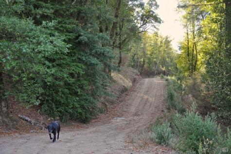 128 Ridgecrest Road Kentfield CA 94904