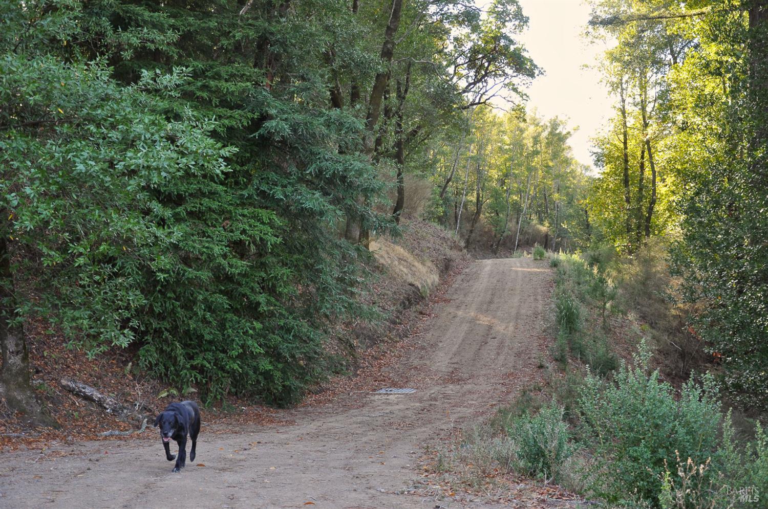 128 Ridgecrest Road Kentfield CA 94904
