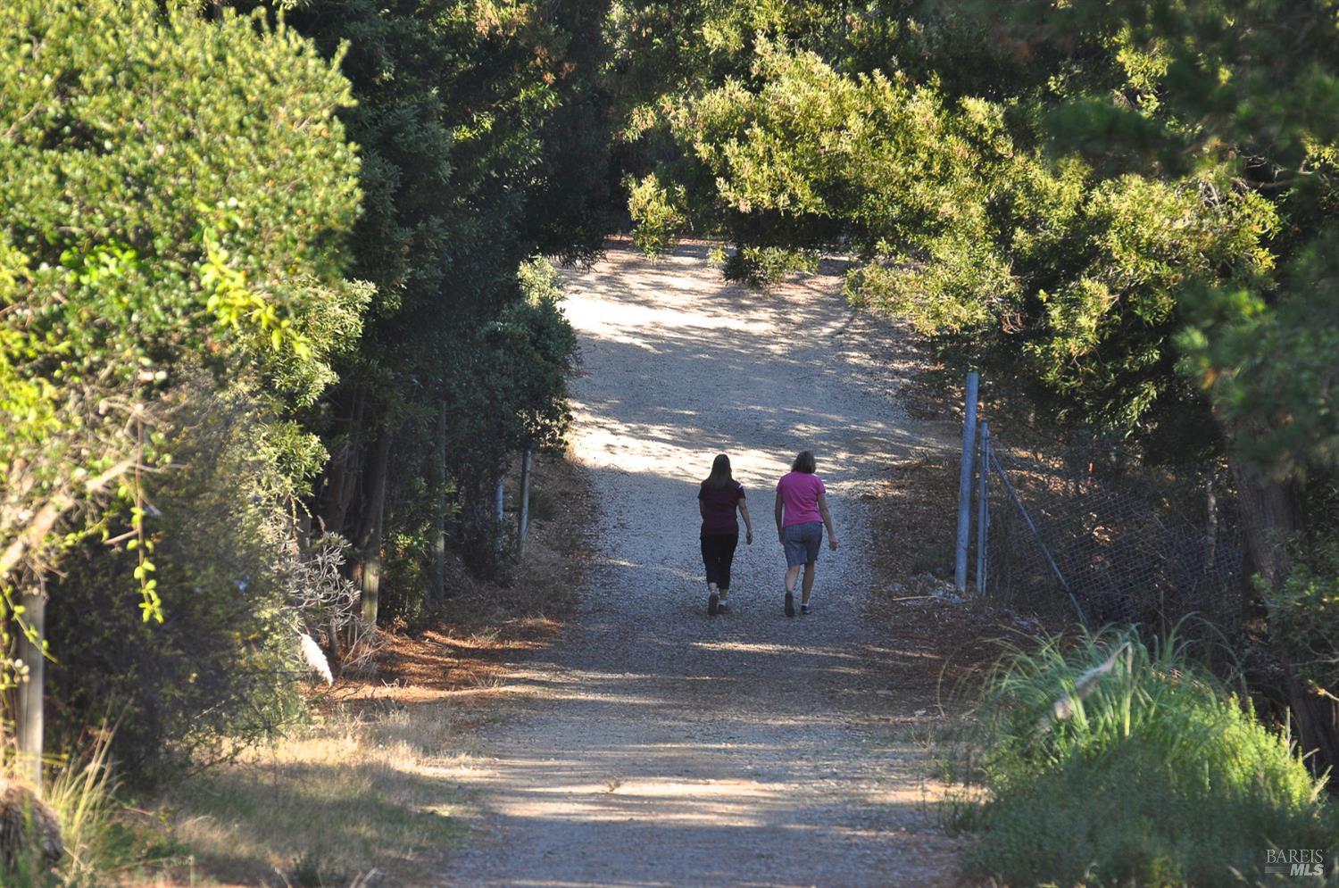 128 Ridgecrest Road Kentfield CA 94904