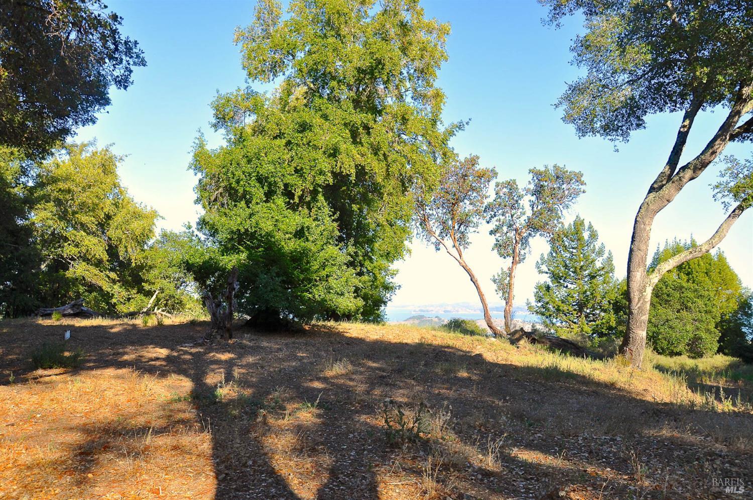 128 Ridgecrest Road Kentfield CA 94904