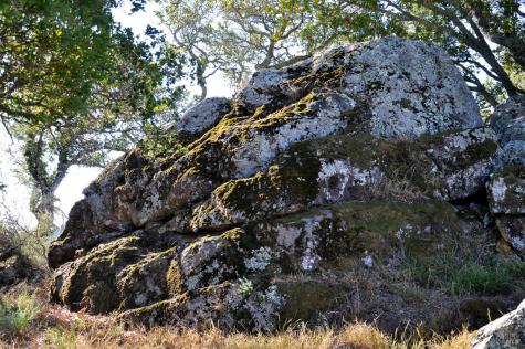 128 Ridgecrest Road Kentfield CA 94904