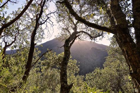 128 Ridgecrest Road Kentfield CA 94904