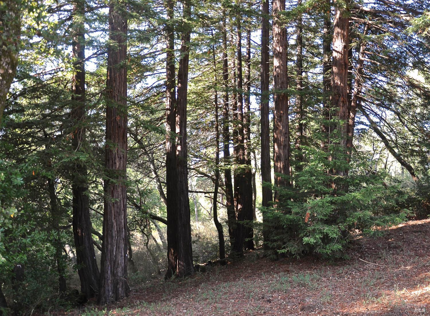 128 Ridgecrest Road Kentfield CA 94904