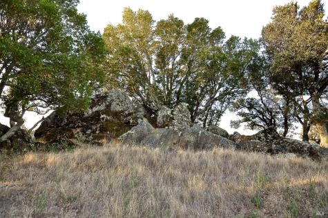 128 Ridgecrest Road Kentfield CA 94904