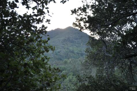 128 Ridgecrest Road Kentfield CA 94904