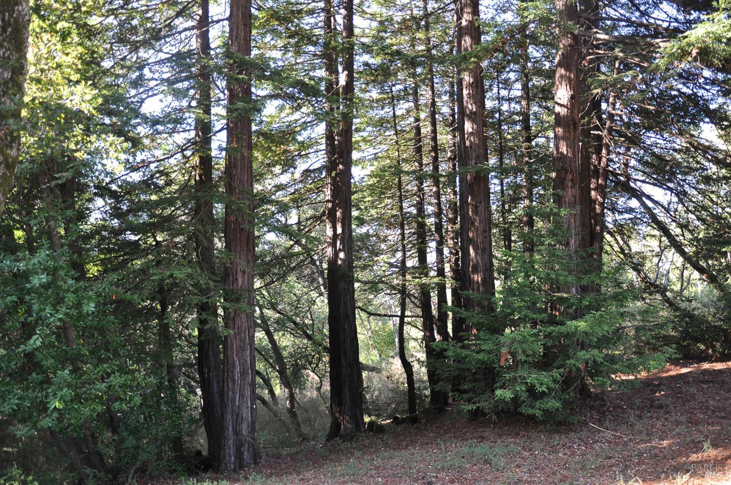128 Ridgecrest Road Kentfield CA 94904