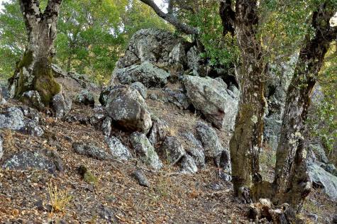 128 Ridgecrest Road Kentfield CA 94904