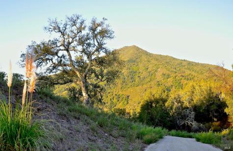 128 Ridgecrest Road Kentfield CA 94904