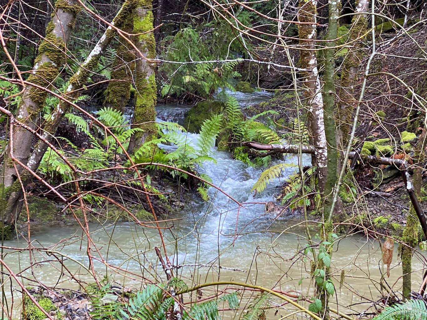 0 Lakeshore Drive Willits CA 95490