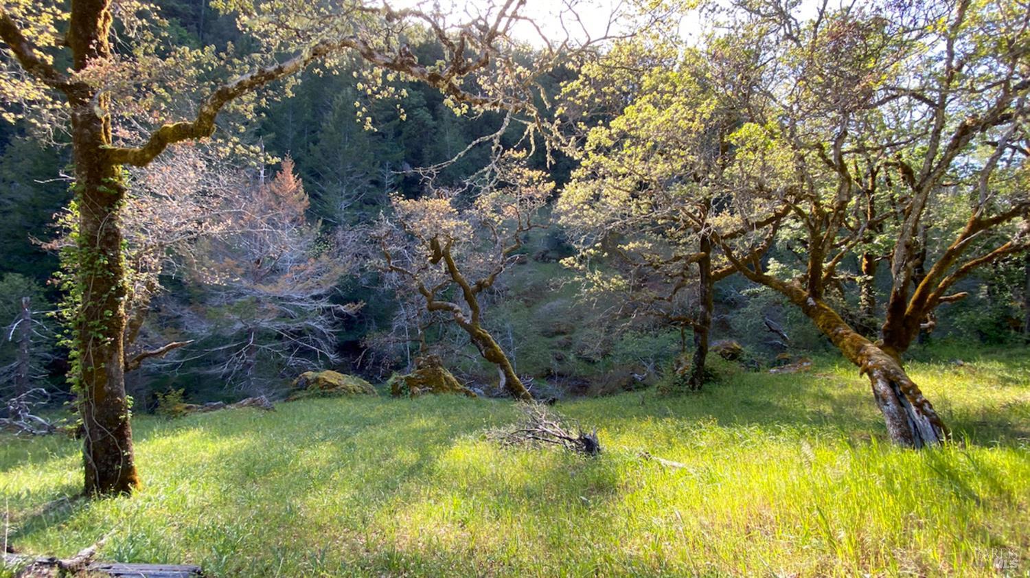 0 Lakeshore Drive Willits CA 95490