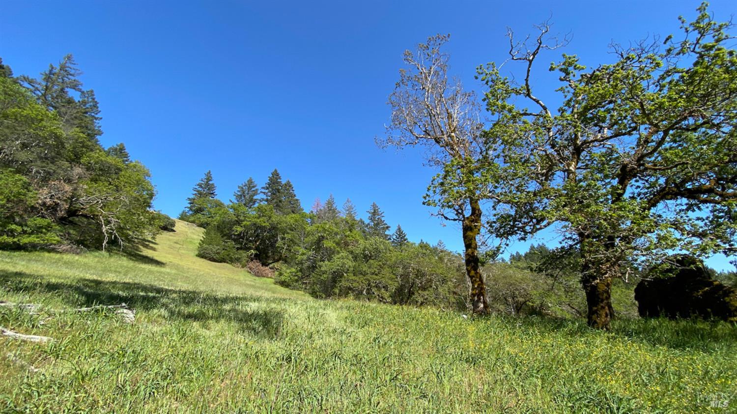 0 Lakeshore Drive Willits CA 95490