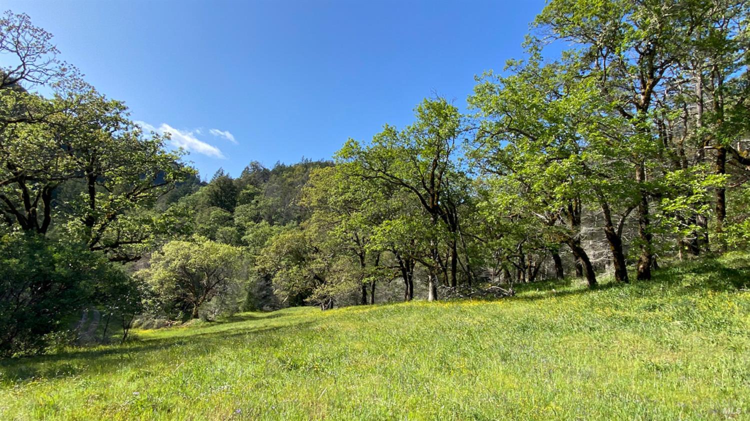 0 Lakeshore Drive Willits CA 95490