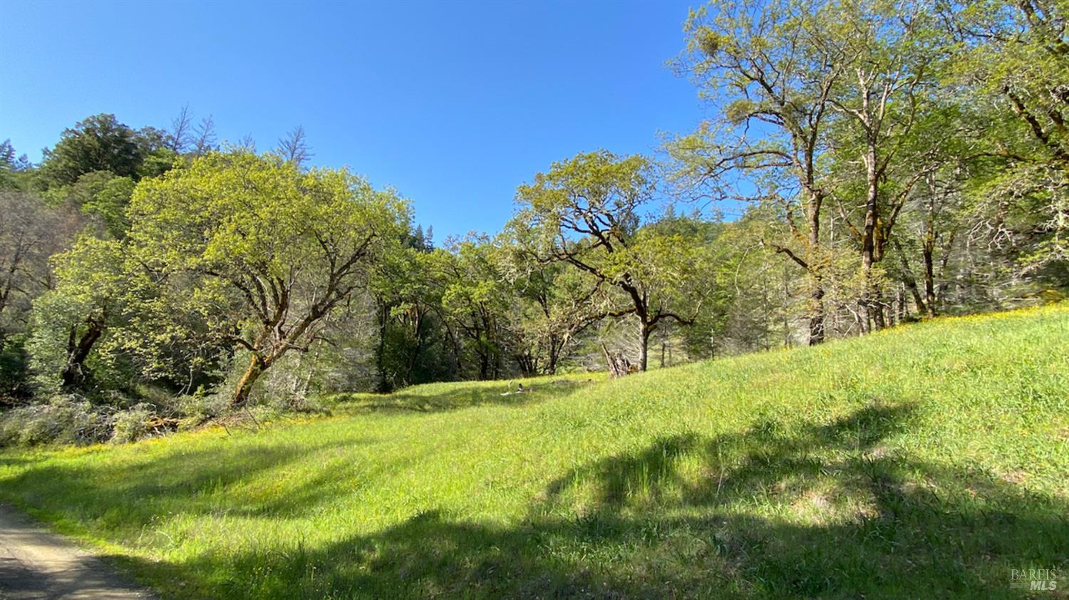 0 Lakeshore Drive Willits CA 95490