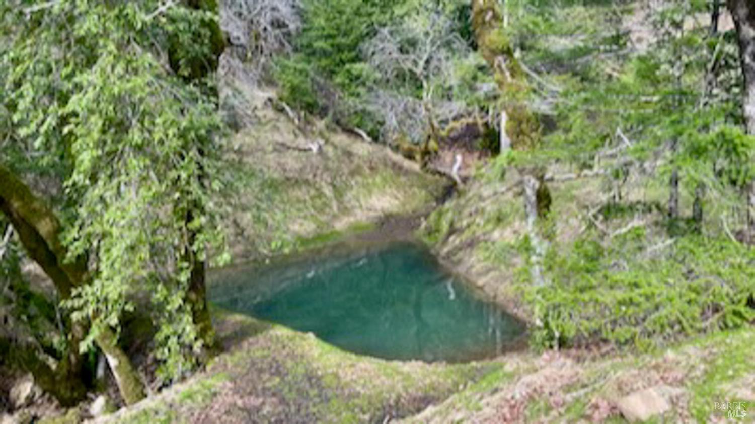 0 Lakeshore Drive Willits CA 95490