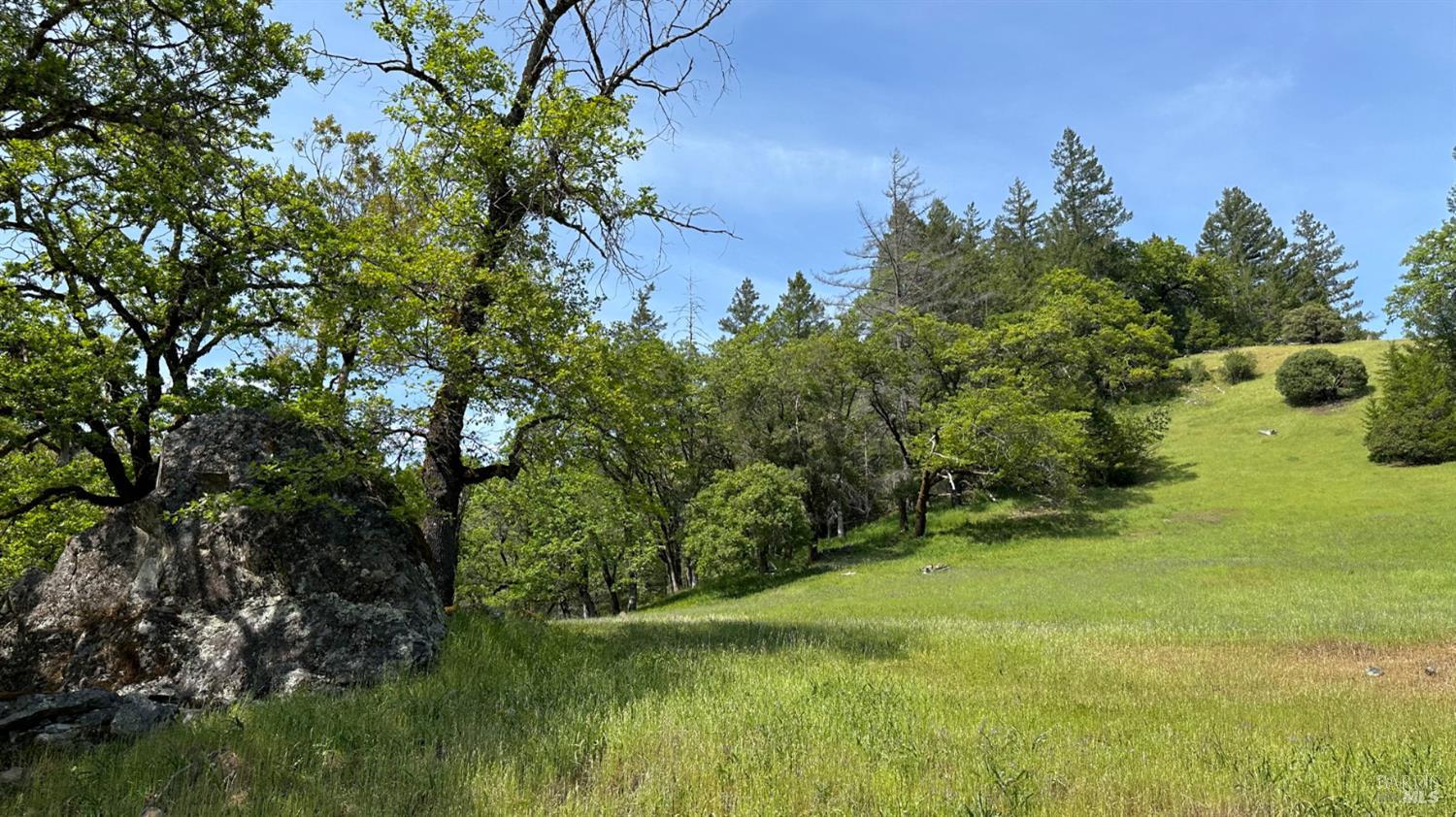 0 Lakeshore Drive Willits CA 95490