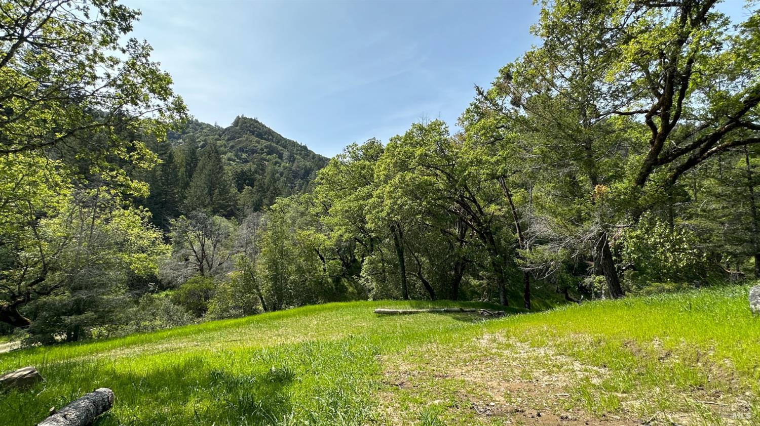 0 Lakeshore Drive Willits CA 95490
