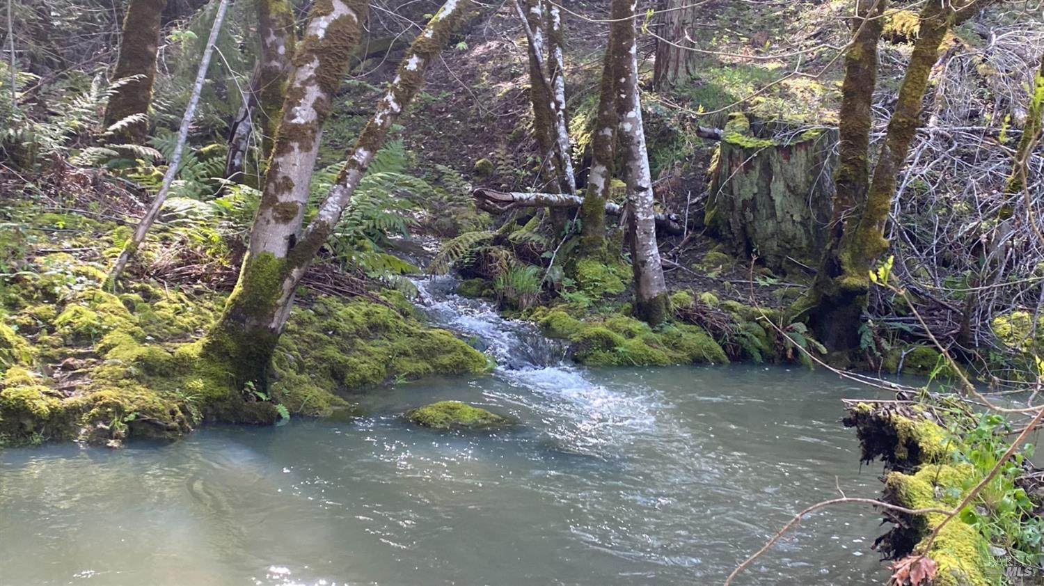 0 Lakeshore Drive Willits CA 95490