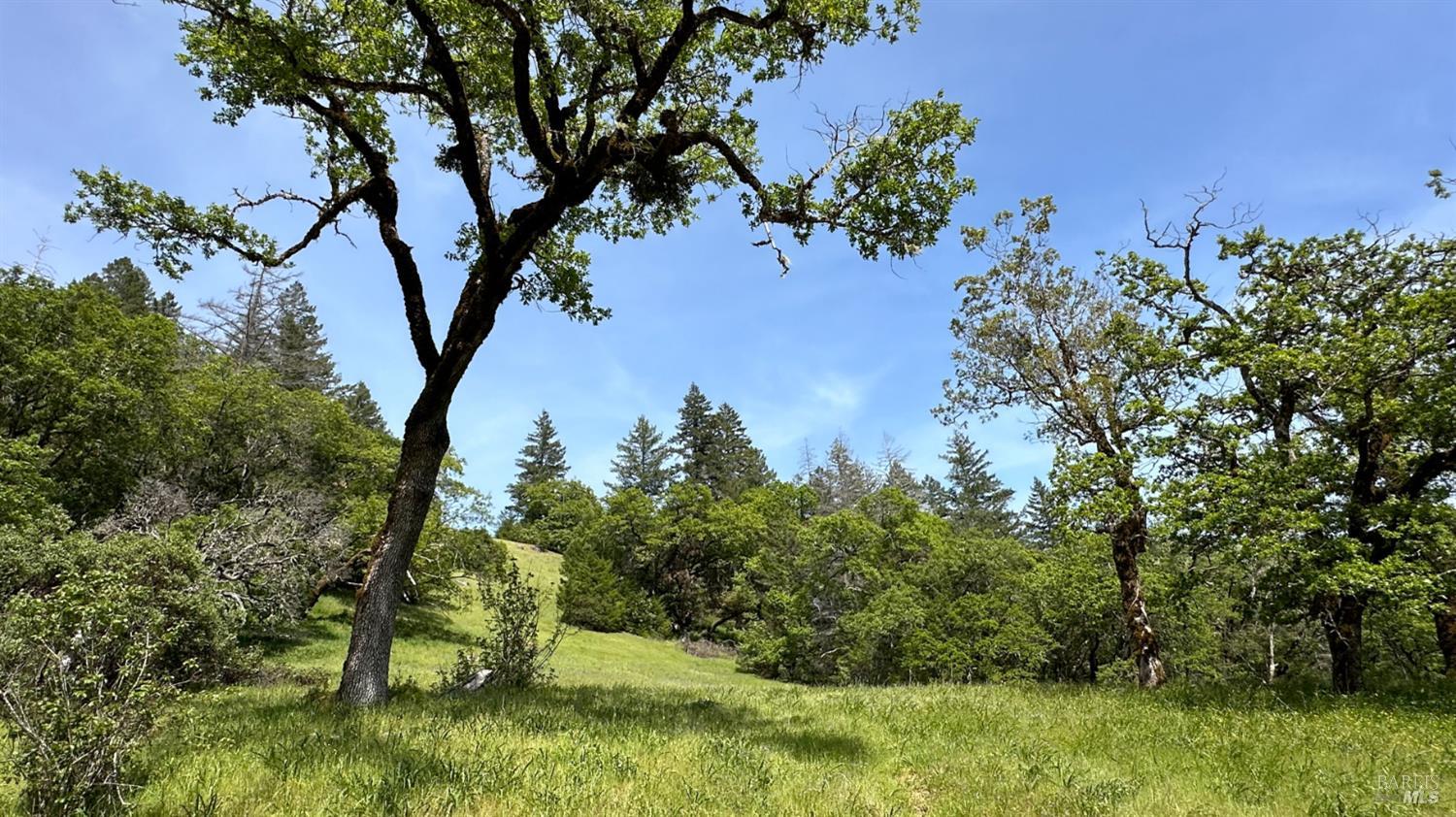 0 Lakeshore Drive Willits CA 95490