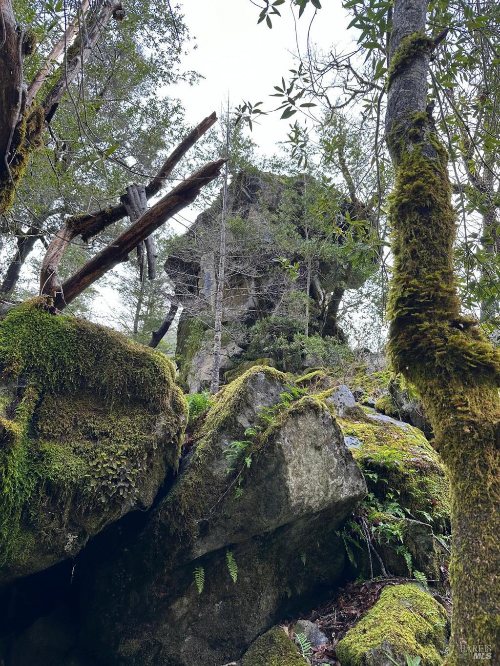 0 Lakeshore Drive Willits CA 95490