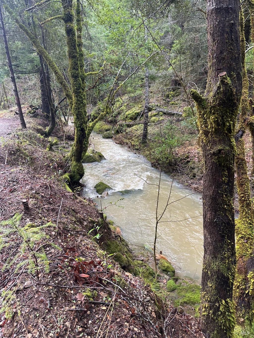 0 Lakeshore Drive Willits CA 95490