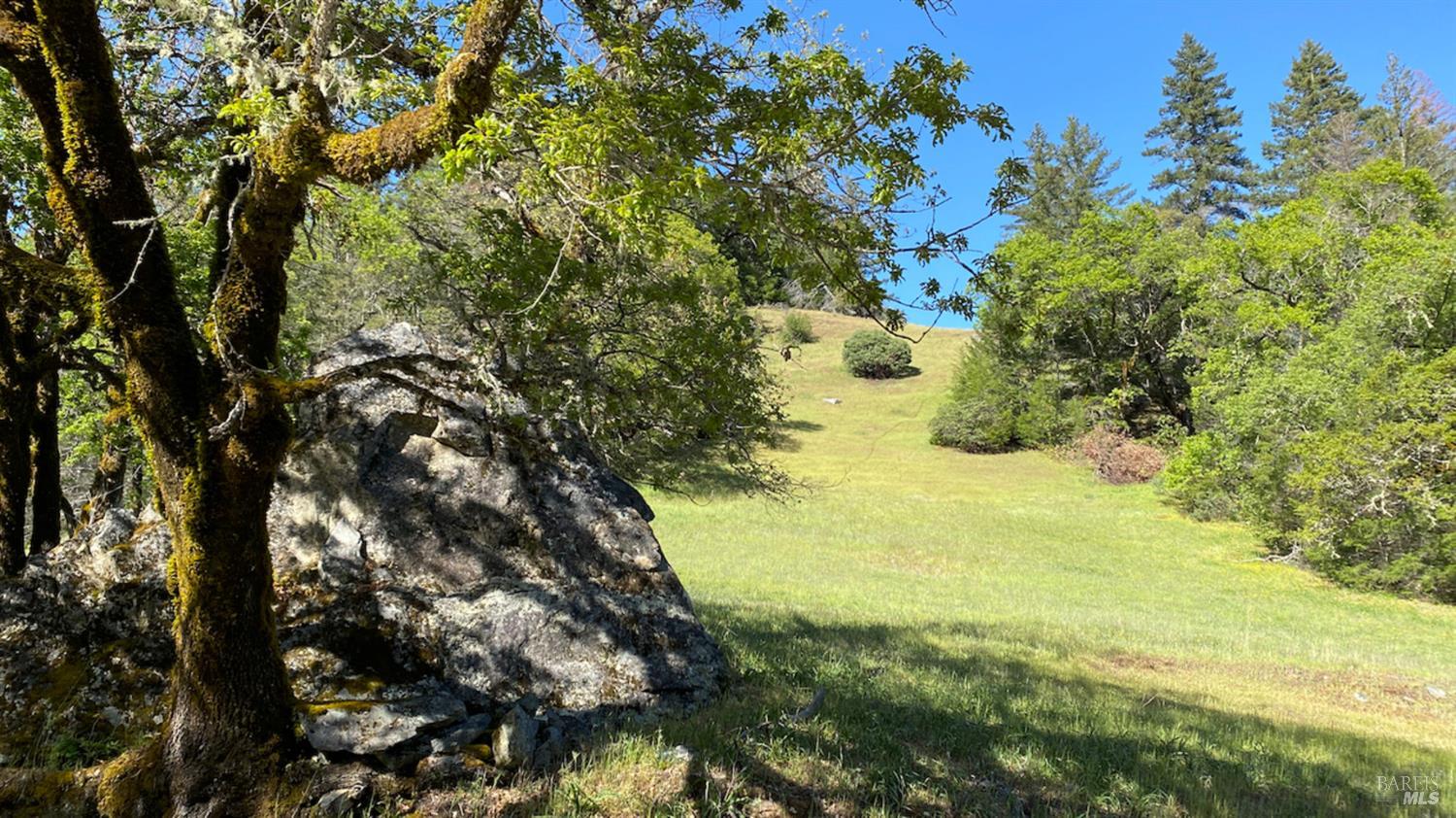 0 Lakeshore Drive Willits CA 95490