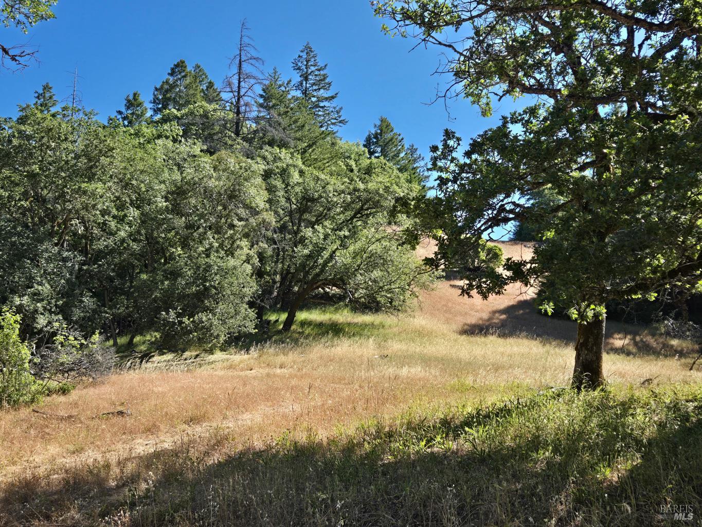 0 Lakeshore Drive Willits CA 95490