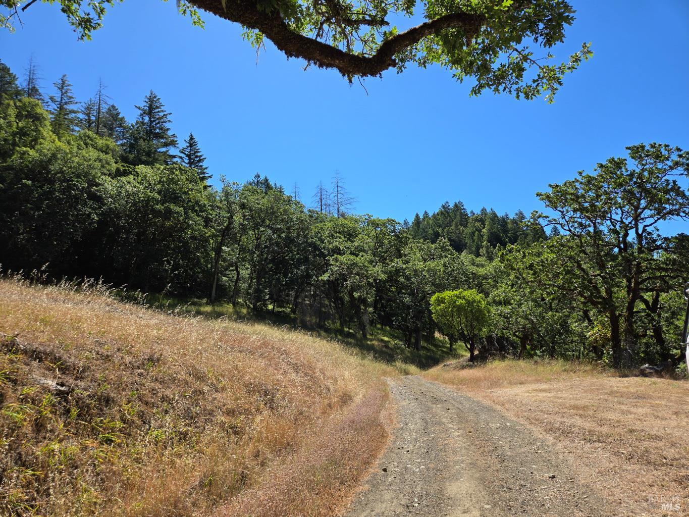0 Lakeshore Drive Willits CA 95490