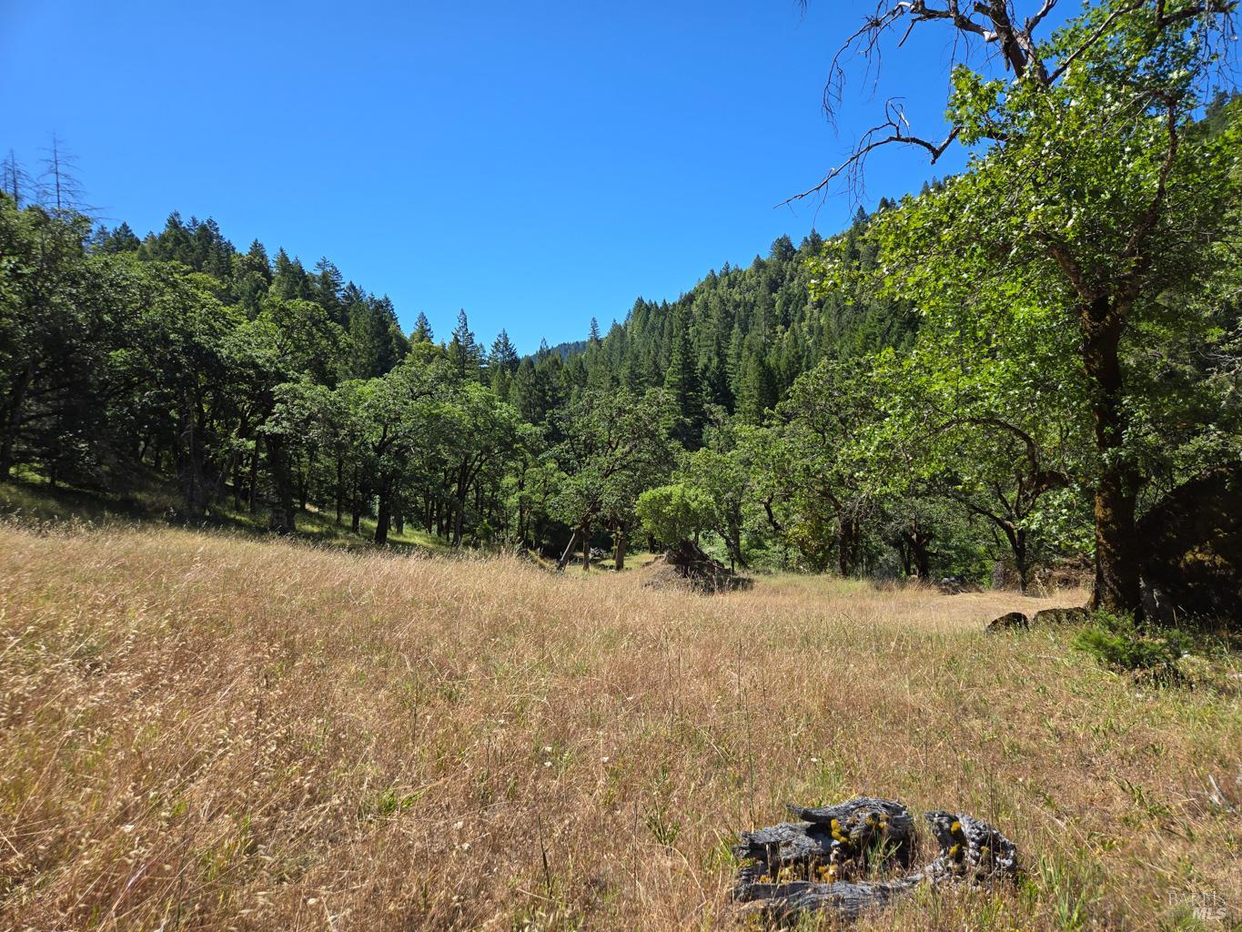 0 Lakeshore Drive Willits CA 95490