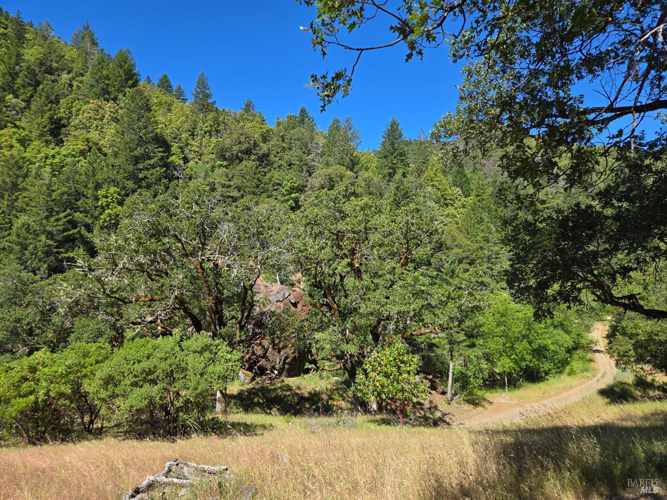 0 Lakeshore Drive Willits CA 95490