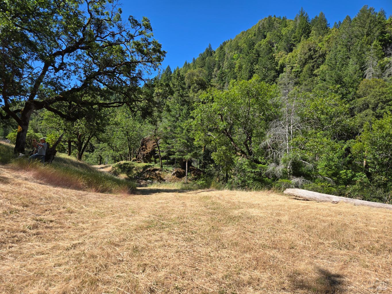 0 Lakeshore Drive Willits CA 95490
