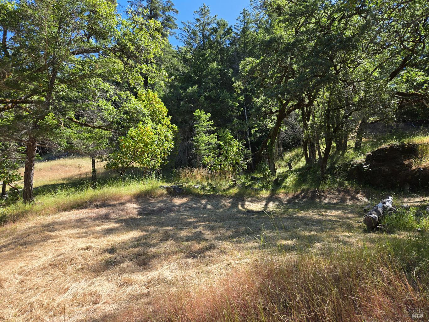 0 Lakeshore Drive Willits CA 95490