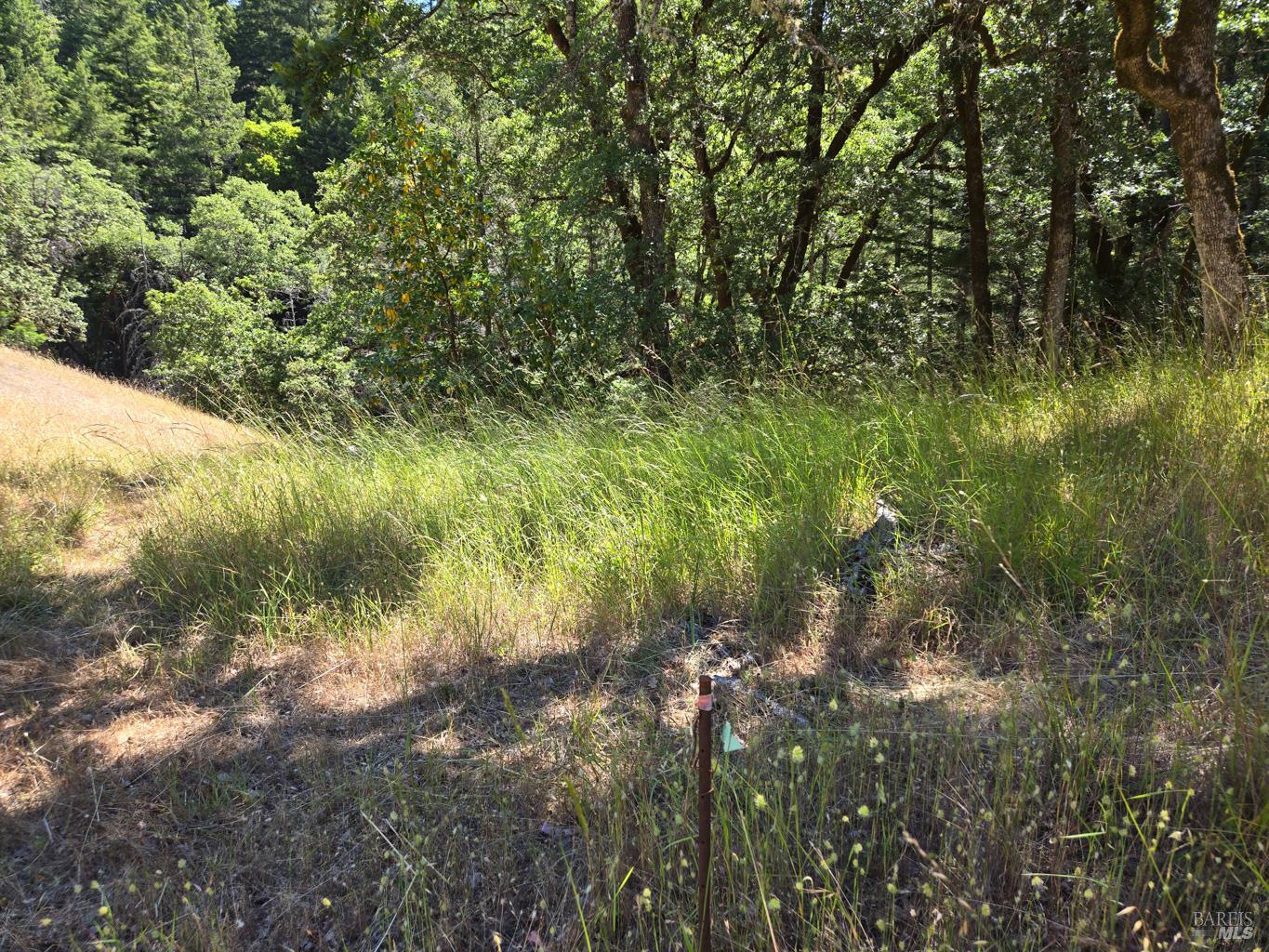 0 Lakeshore Drive Willits CA 95490