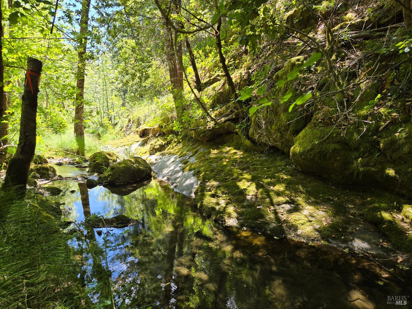 0 Lakeshore Drive Willits CA 95490