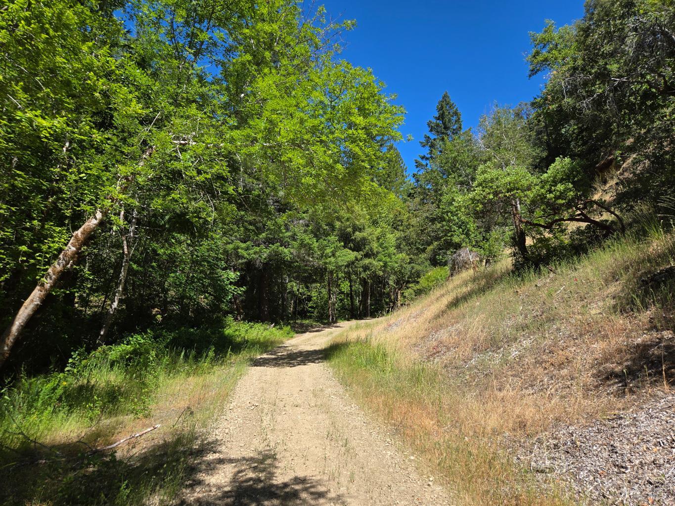 0 Lakeshore Drive Willits CA 95490
